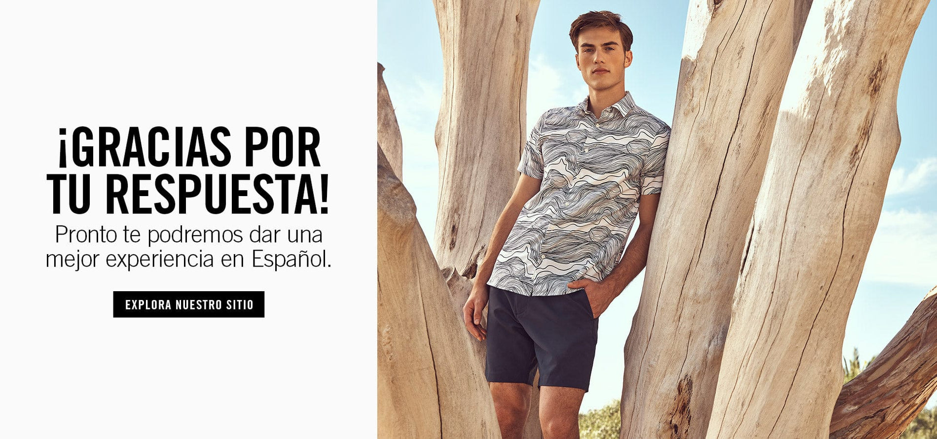 explora nuestro sitio
