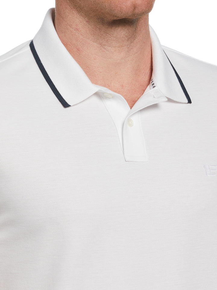 Cotton Ribbed Collar Striped Polo (Bright White) 