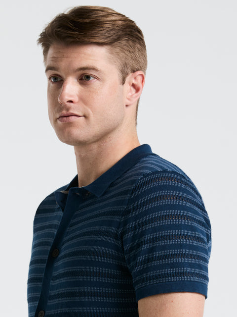 Button-Front Striped Polo Sweater (Blue Wing Teal) 