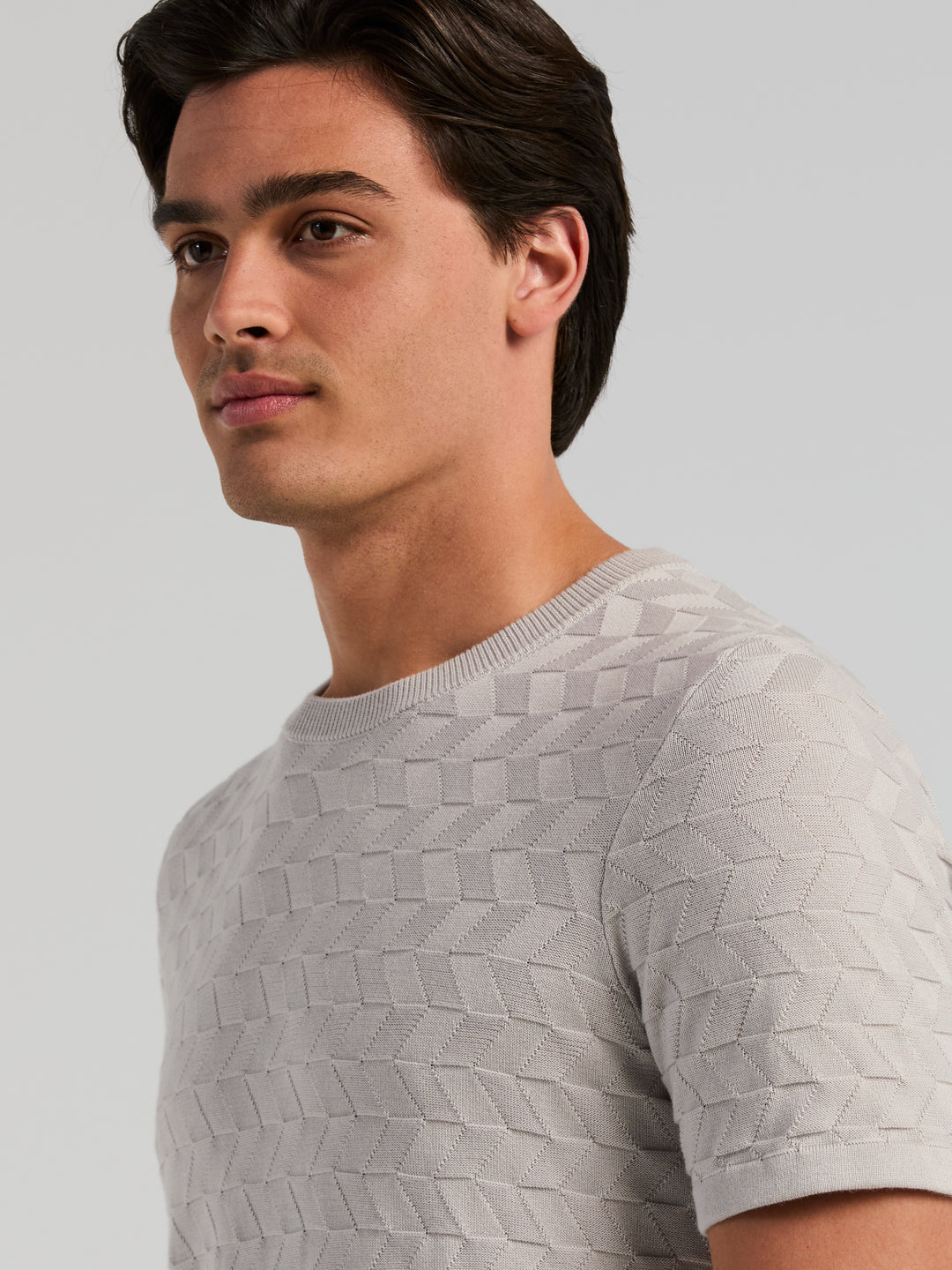 Short Sleeve Herringbone Crew Sweater (Gray Violet) 