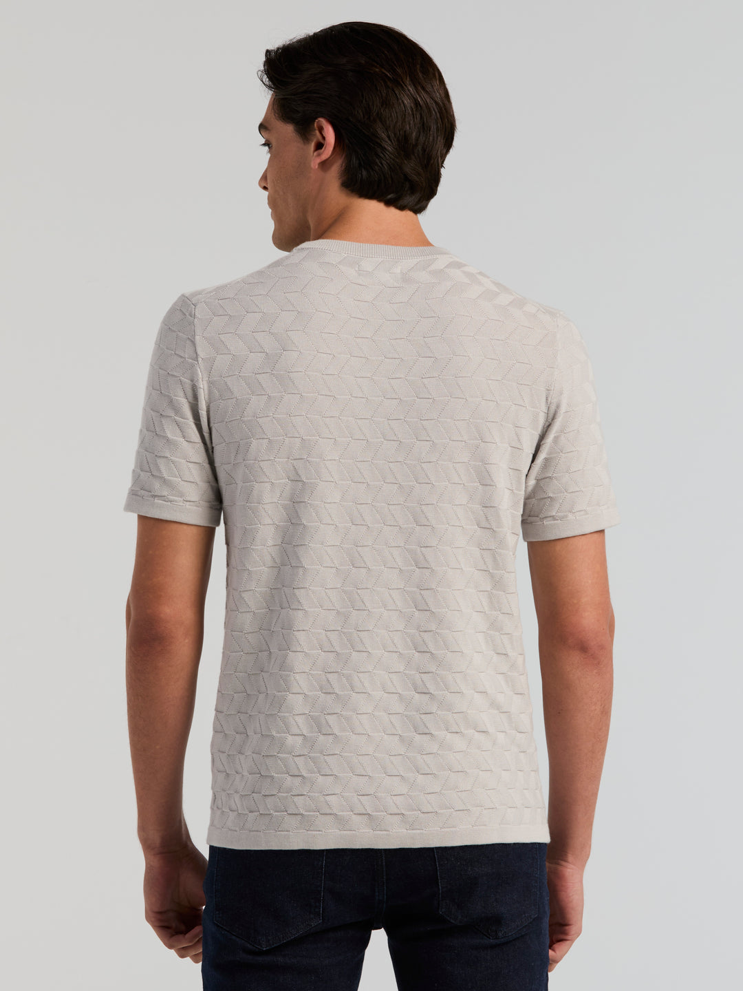 Short Sleeve Herringbone Crew Sweater (Gray Violet) 