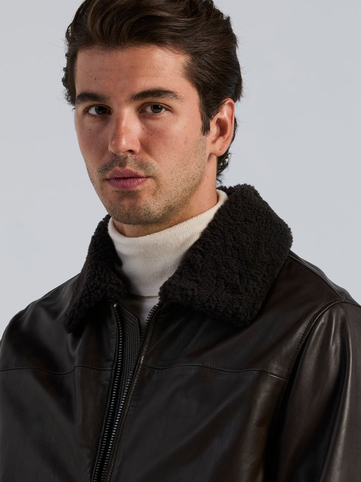 Leather Shearling Collar Zip Front Jacket (Ganache) 