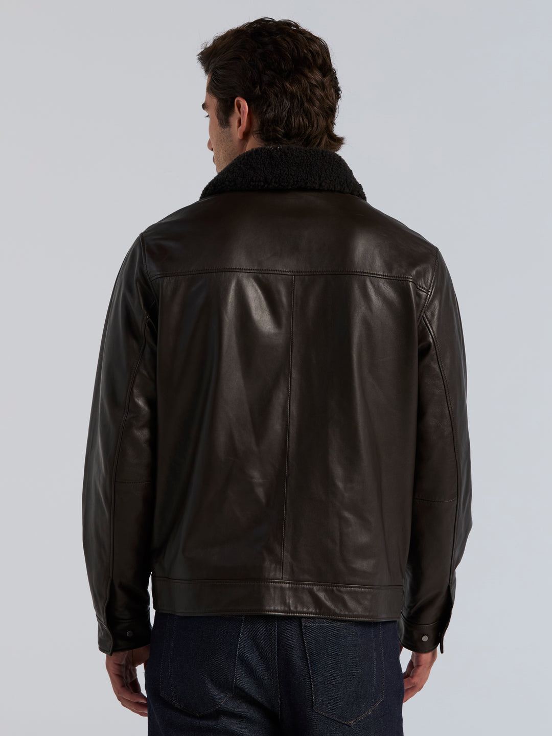 Leather Shearling Collar Zip Front Jacket (Ganache) 