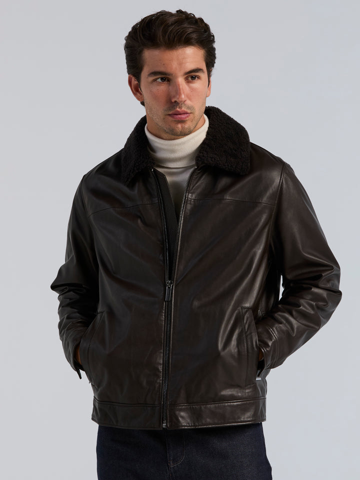 Leather Shearling Collar Zip Front Jacket (Ganache) 