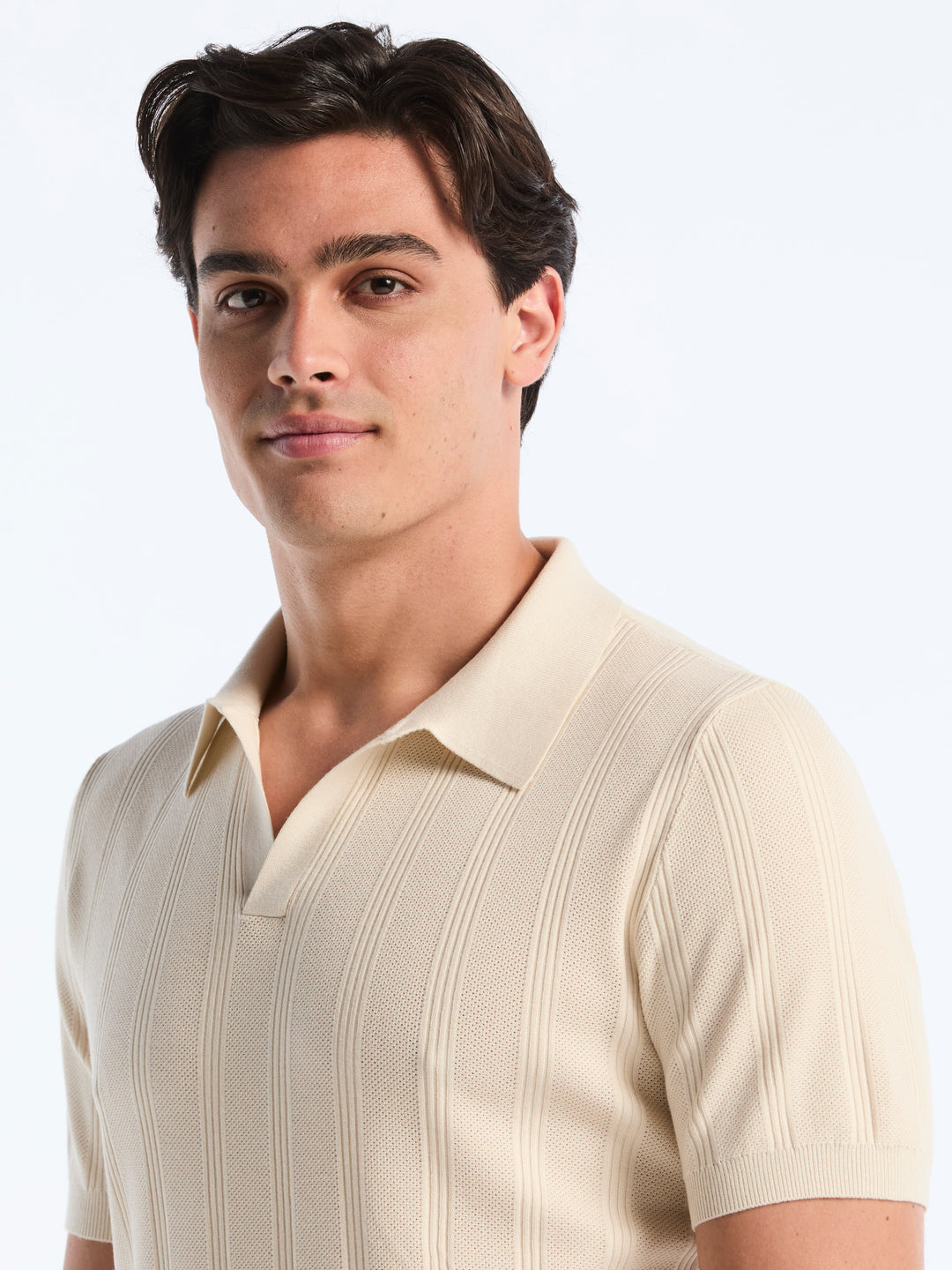 Short Sleeve Mesh Stripe Polo Sweater (Birch) 