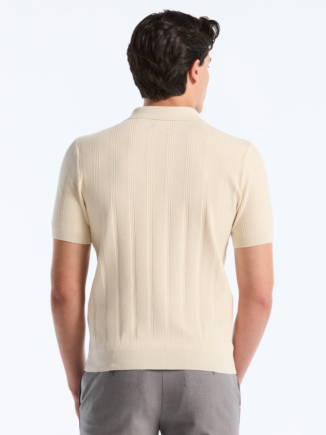 Short Sleeve Mesh Stripe Polo Sweater (Birch) 