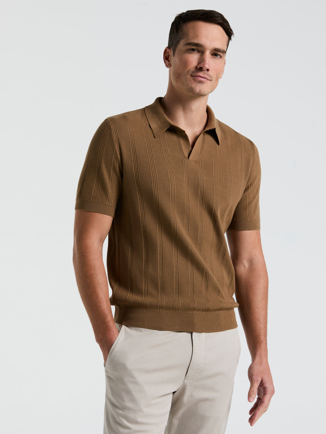 Short Sleeve Mesh Stripe Polo Sweater (Otter) 