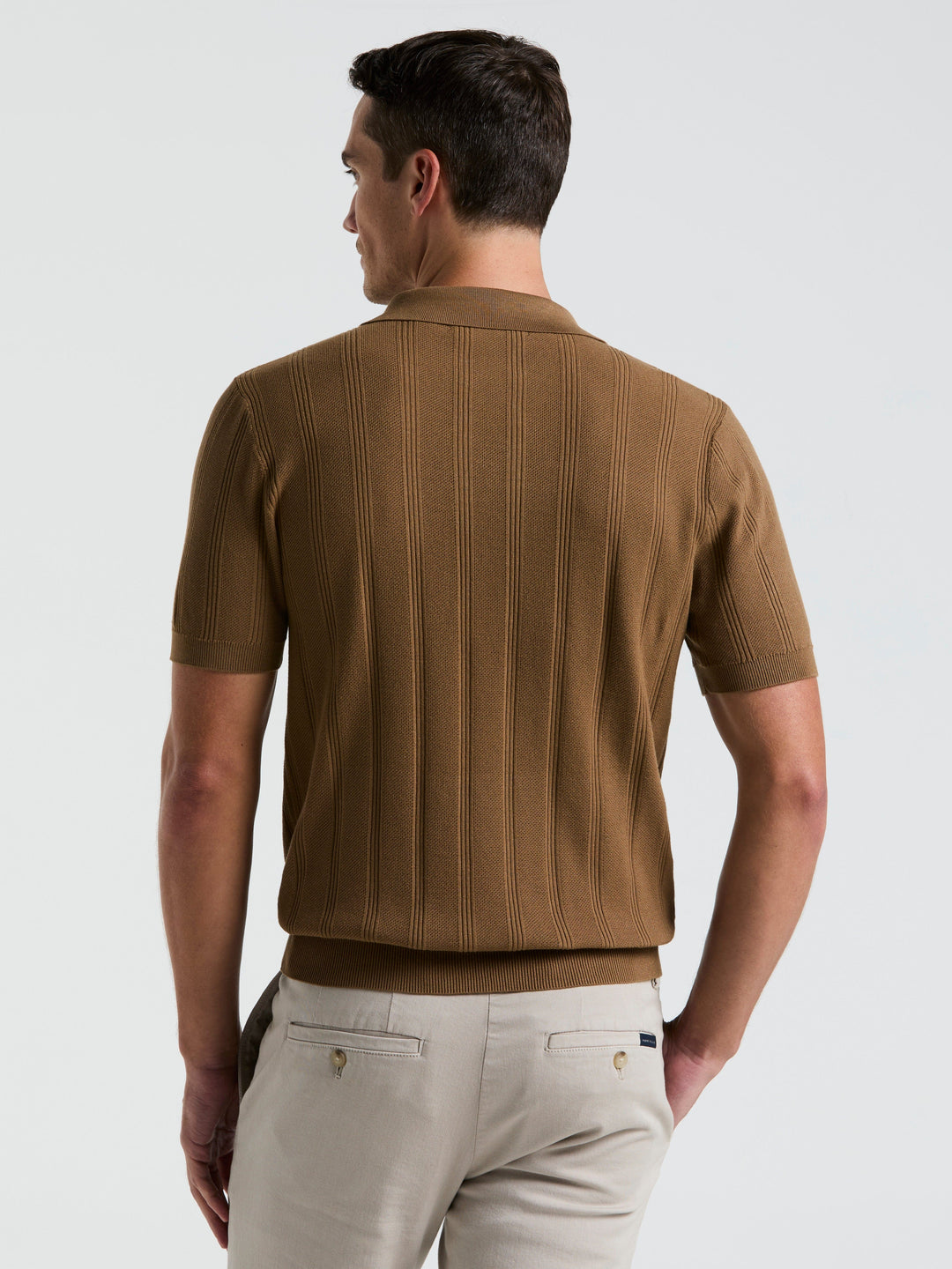 Short Sleeve Mesh Stripe Polo Sweater (Otter) 