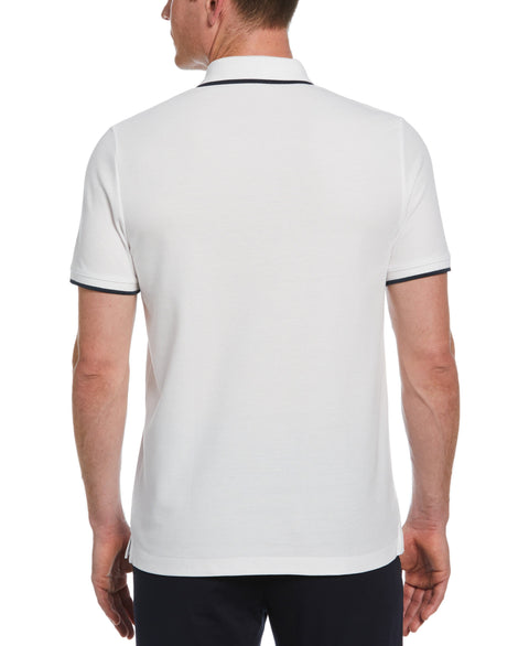 Cotton Ribbed Collar Striped Polo (Bright White) 