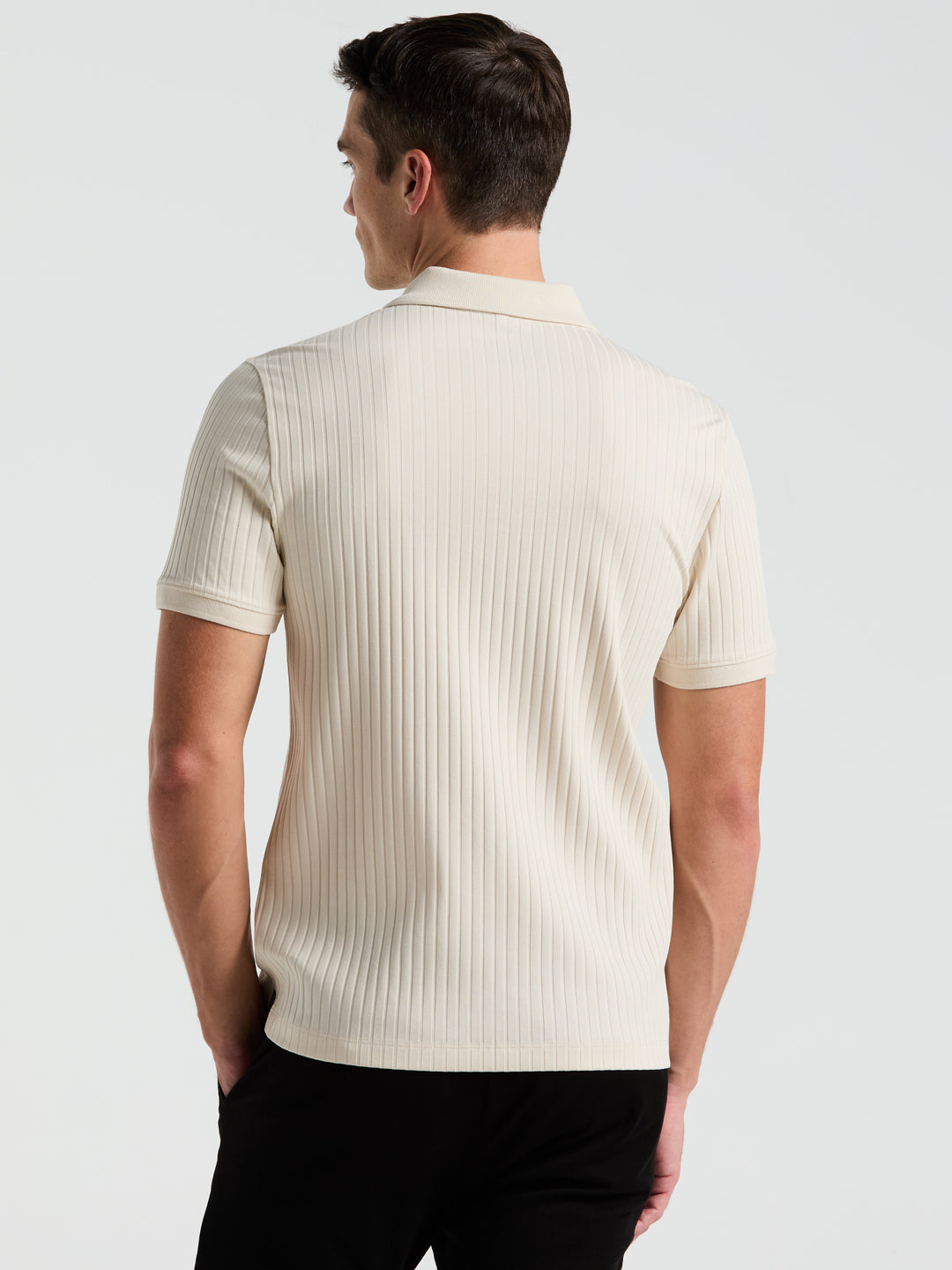 Quarter Zip Ribbed Polo (Birch) 