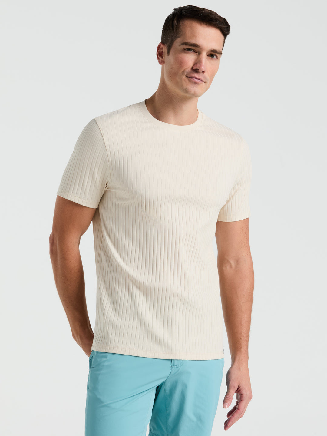 Solid Crew Tee (Birch) 