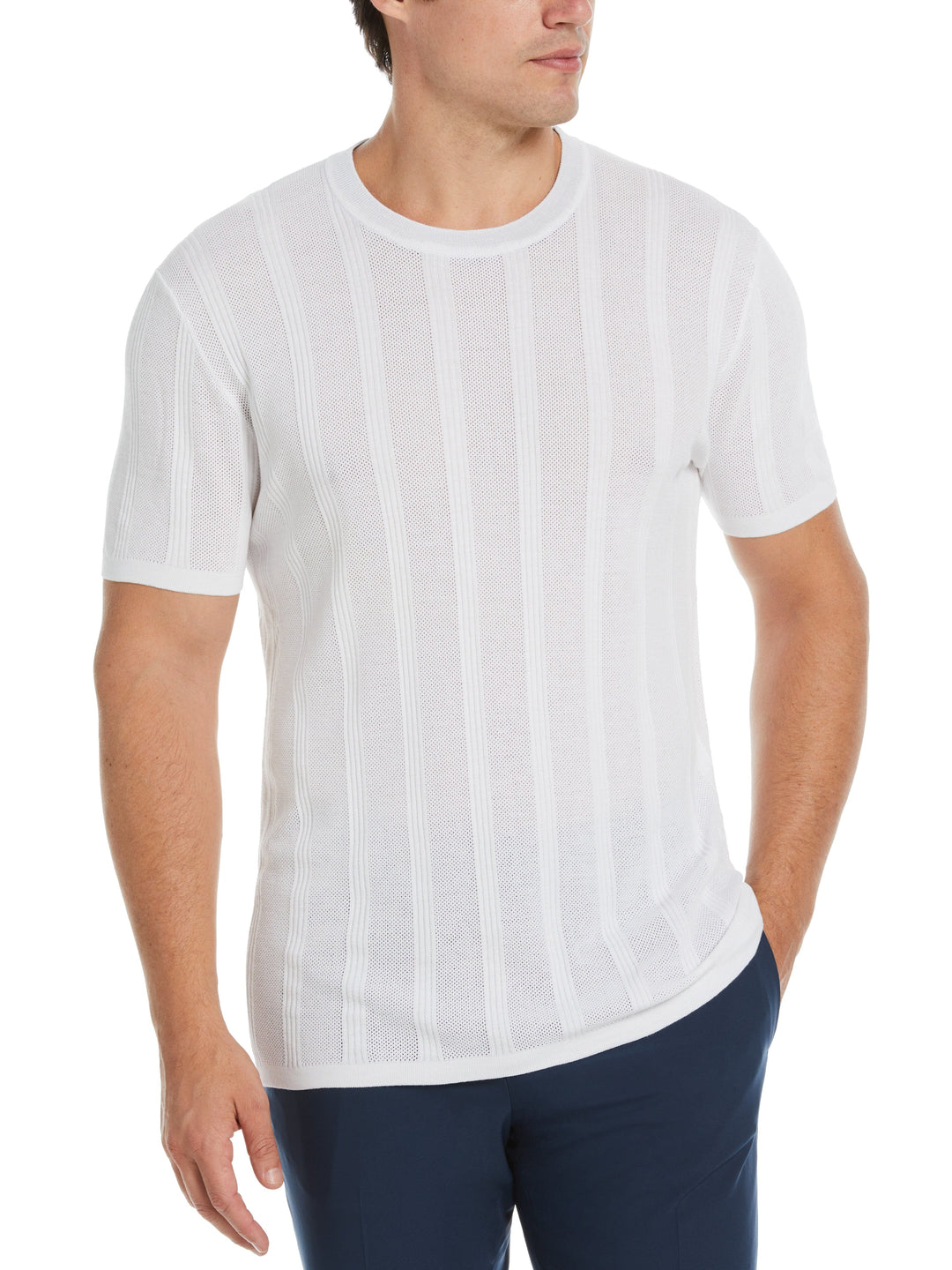 Tech Knit Striped Crew Neck Shirt (Bright White) 