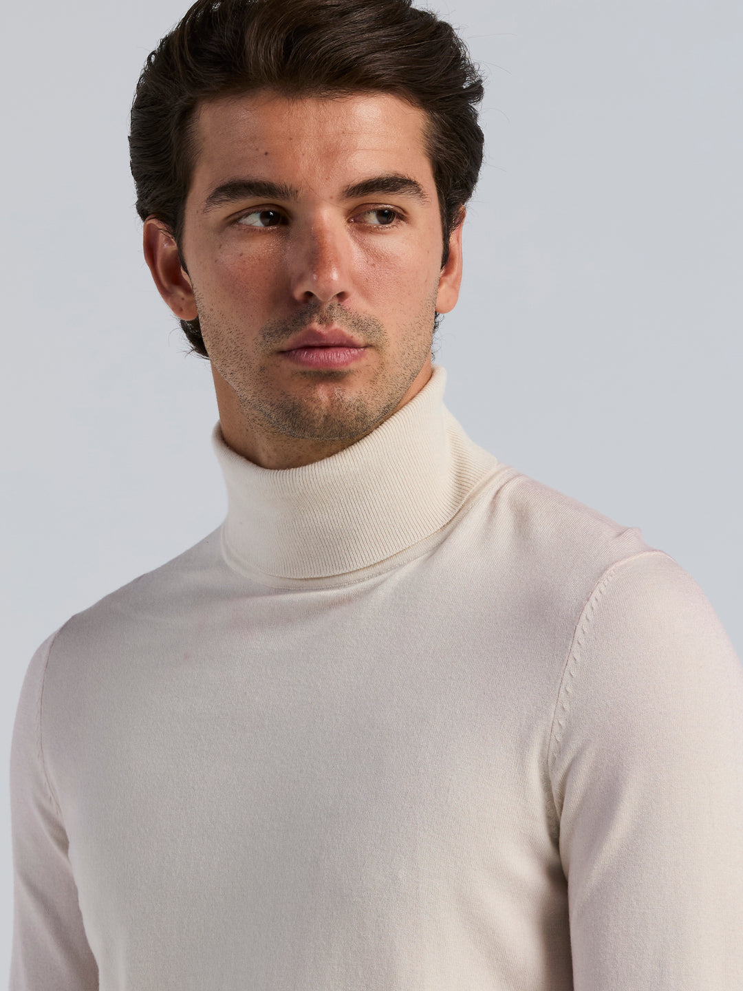 Solid Tech Turtleneck Sweater (Turtledove) 