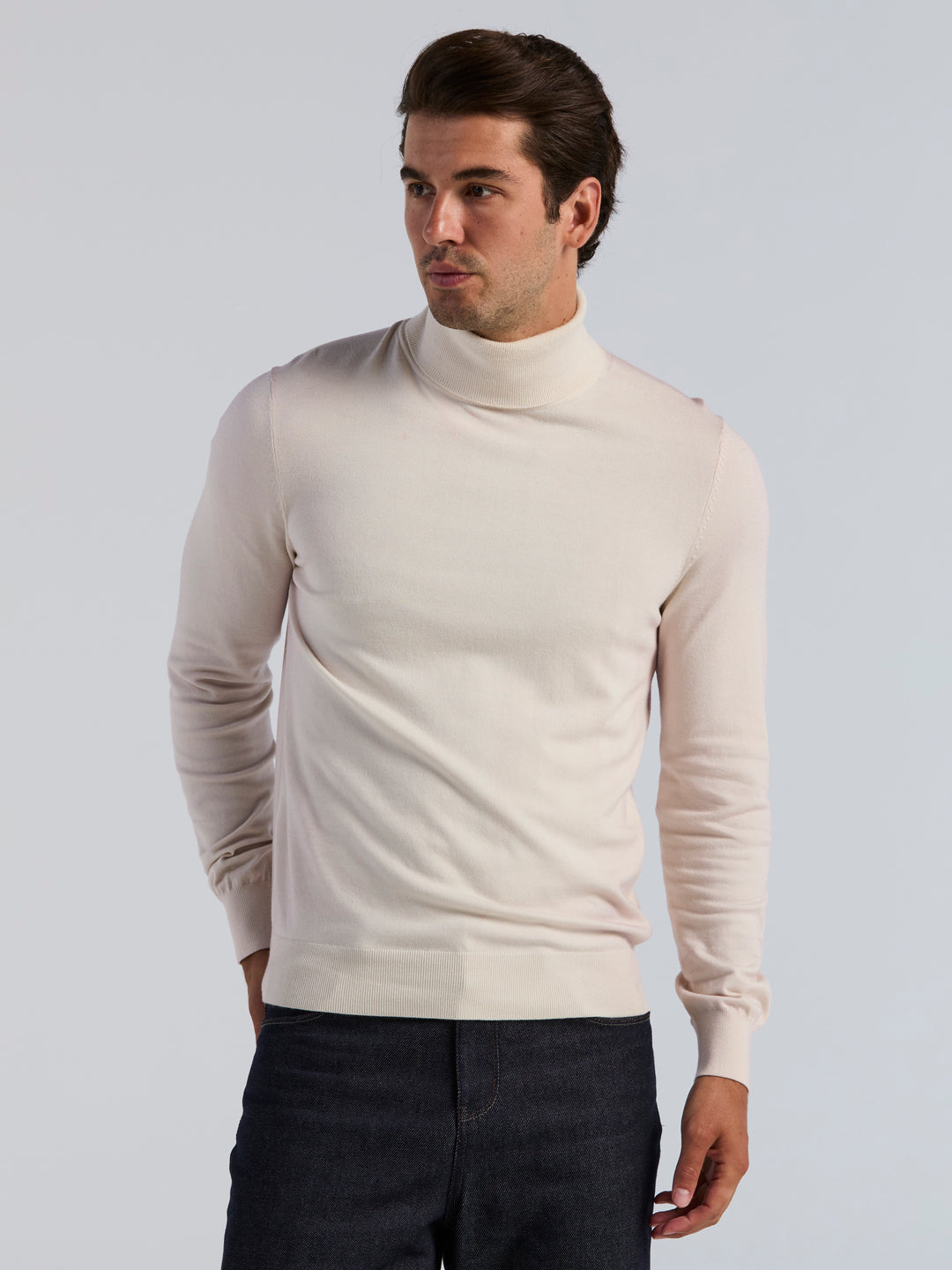 Solid Tech Turtleneck Sweater (Turtledove) 