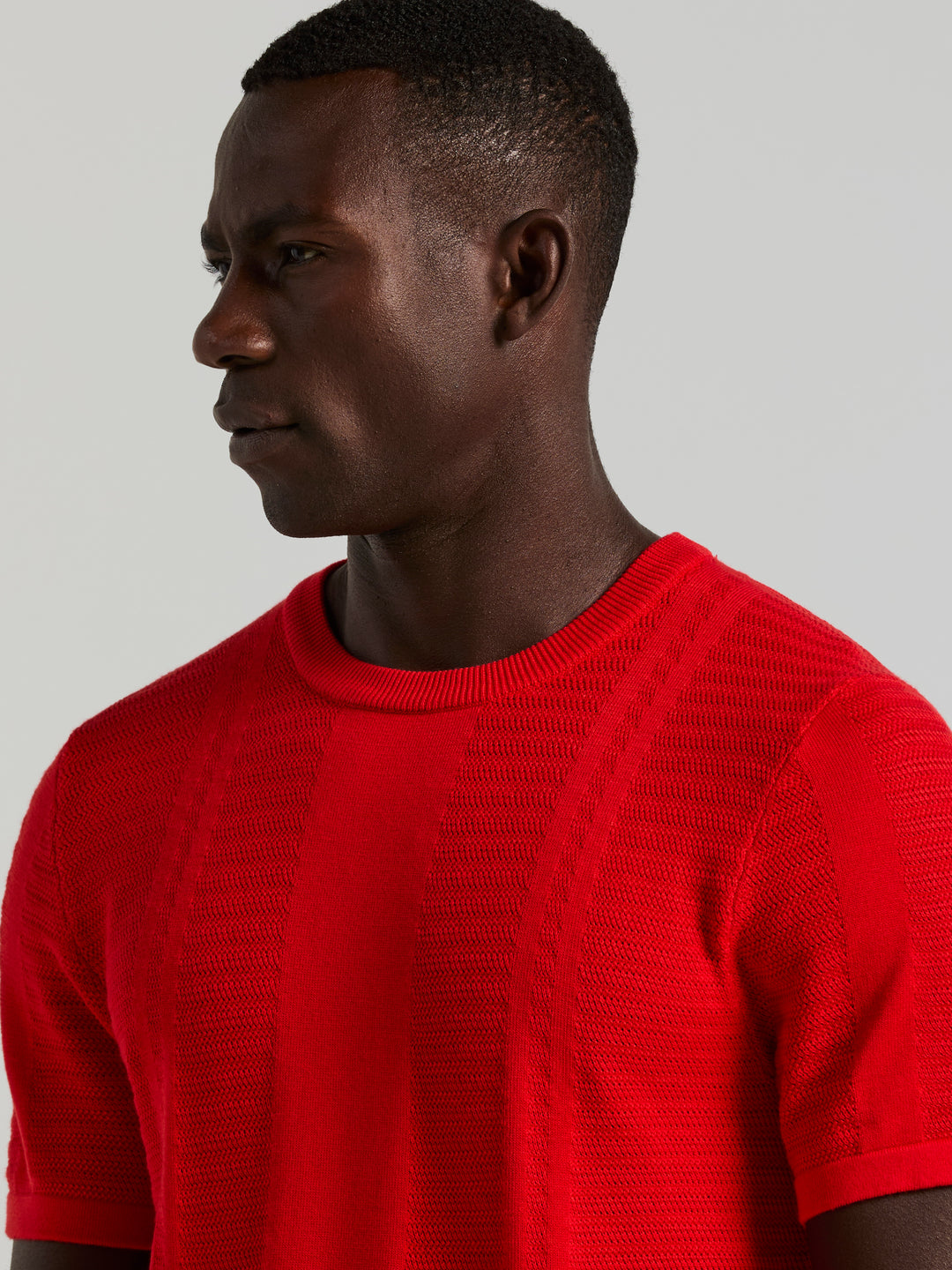 Short Sleeve Textured Stripe Crew Neck Sweater (Racing Red) 
