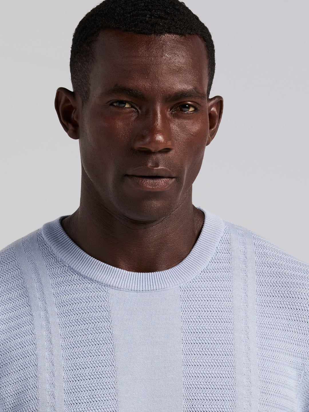 Short Sleeve Textured Stripe Crew Neck Sweater (Kentucky Blue) 