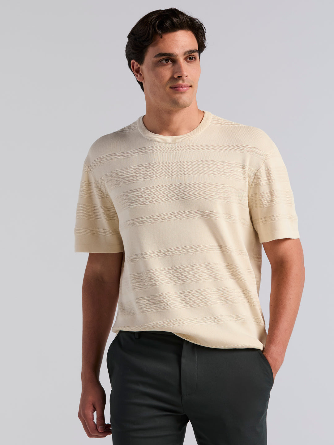 Short Sleeve Textured Stripe Crew Neck Sweater (Turtledove) 