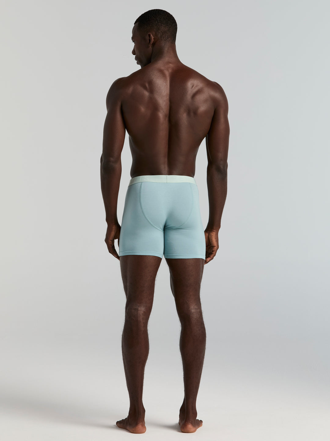 Viscose Boxer Brief 4-Pack (Tourmaline) 