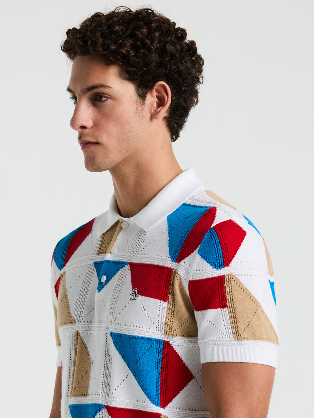Muticolor Jacquard Sweater Polo  (Bright White) 