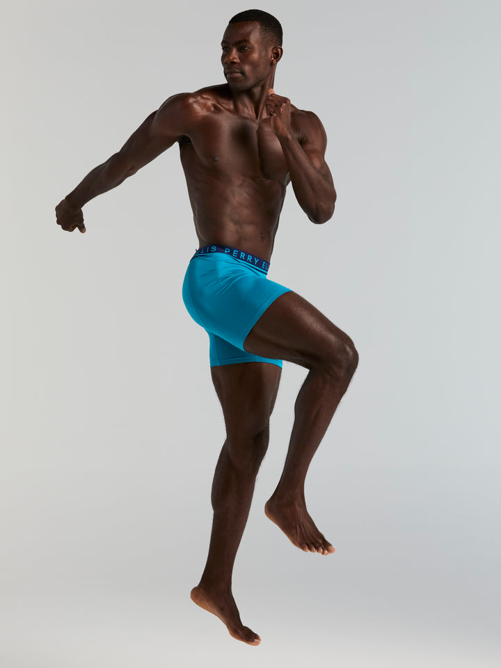 Viscose 4-Pack Boxer Brief (Caneel Bay) 