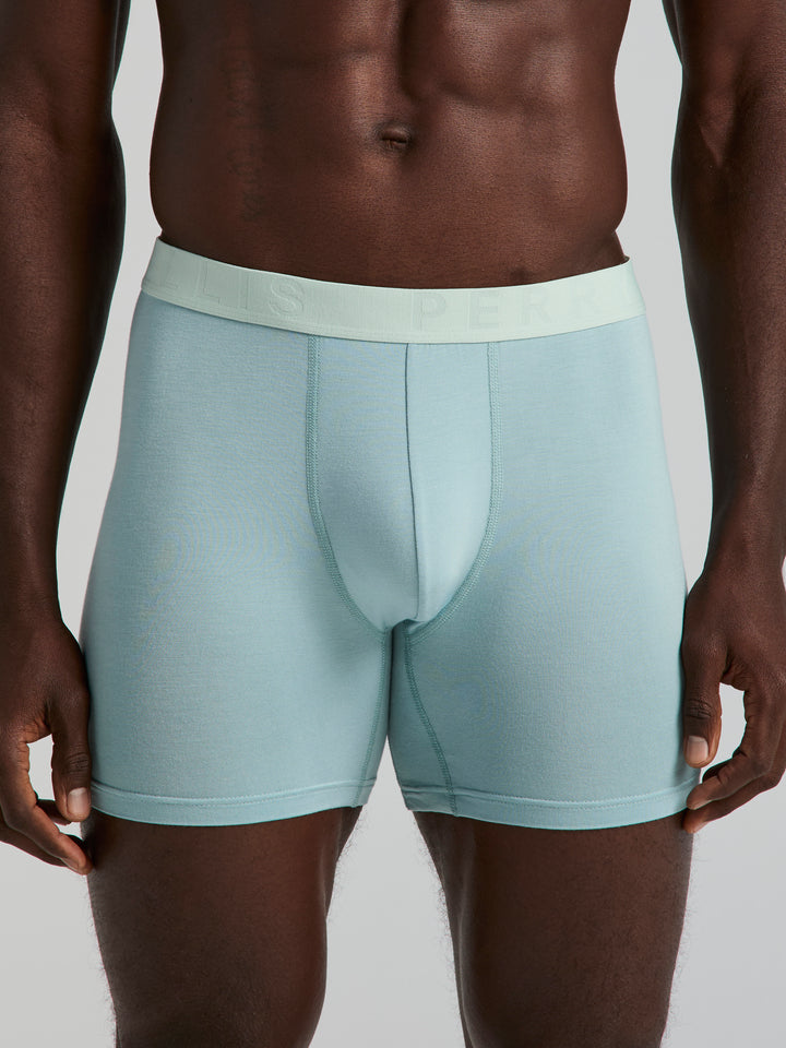 Viscose Boxer Brief 4-Pack (Tourmaline) 