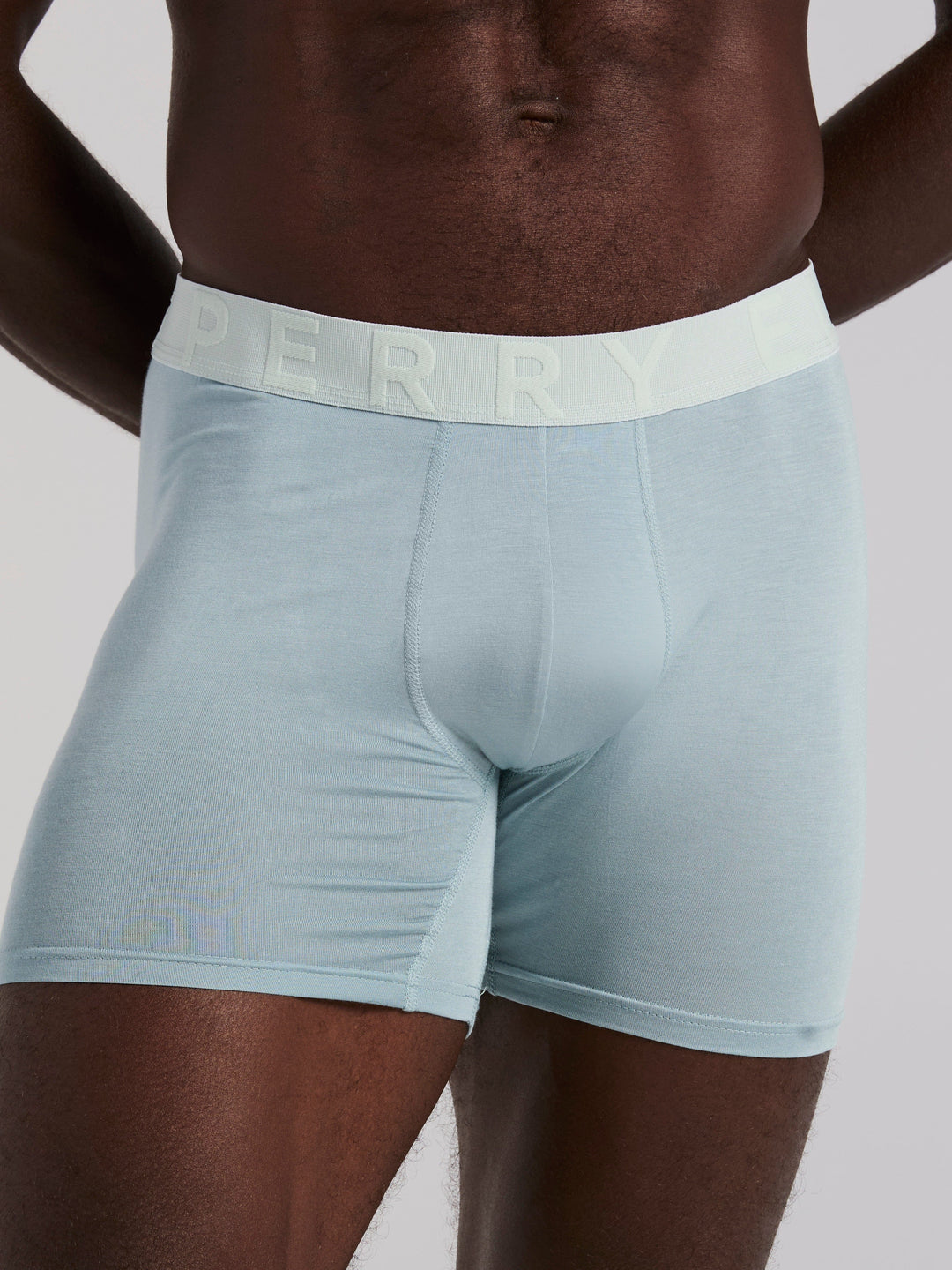 Viscose Boxer Brief (Tourmaline) 
