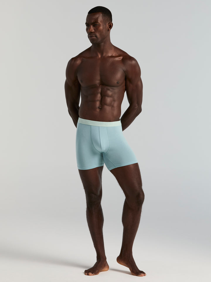 Viscose Boxer Brief 4-Pack (Tourmaline) 
