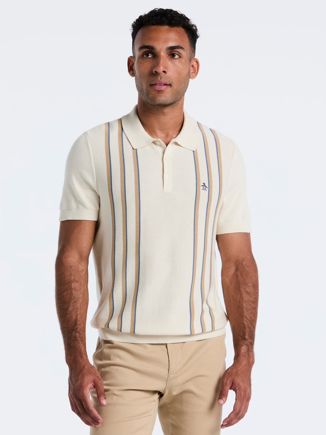 Cotton Vertical Stripe Sweater Polo (Birch) 