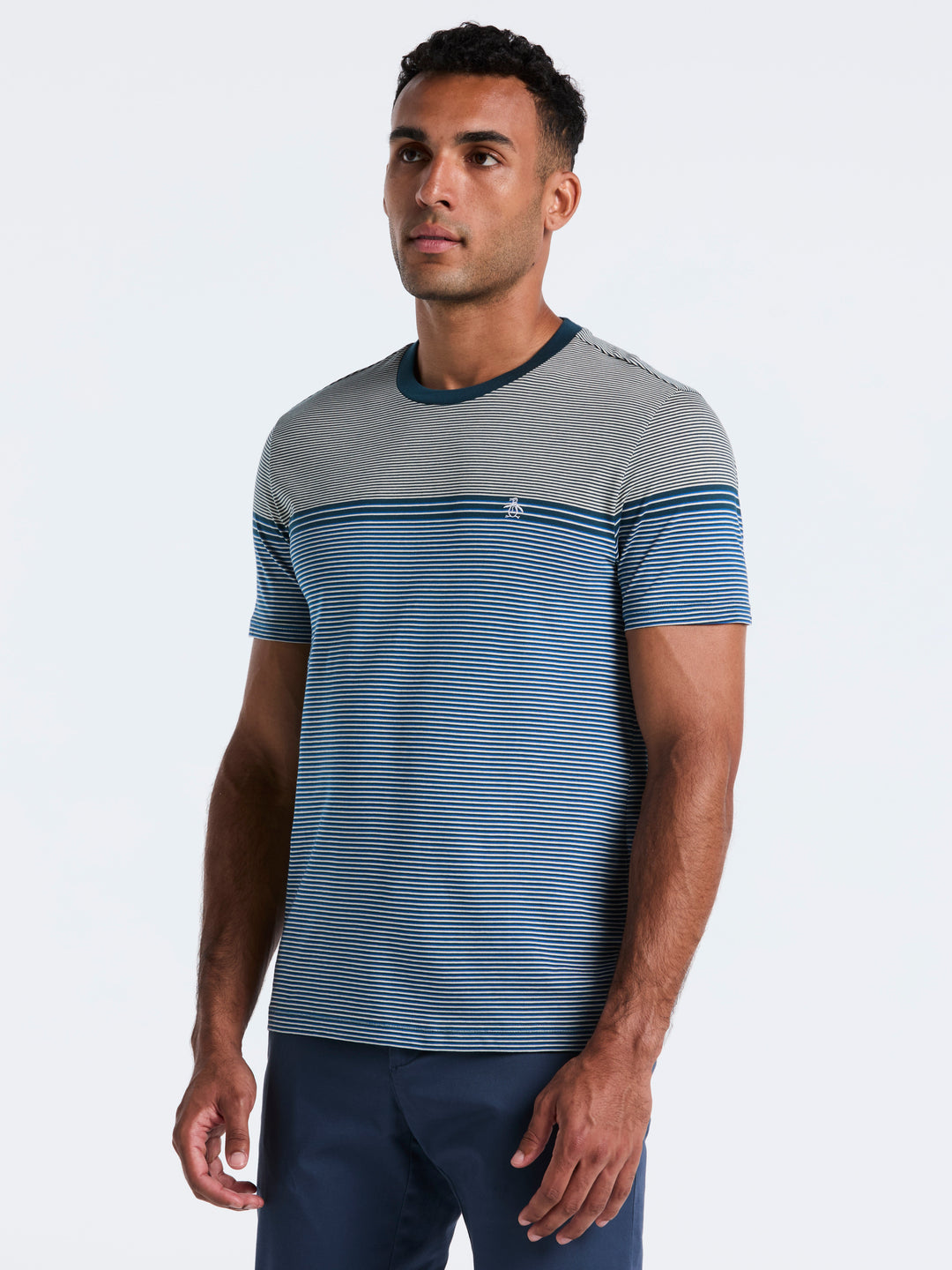 Engineered Stripe Jersey Tee (Reflecting Pond) 