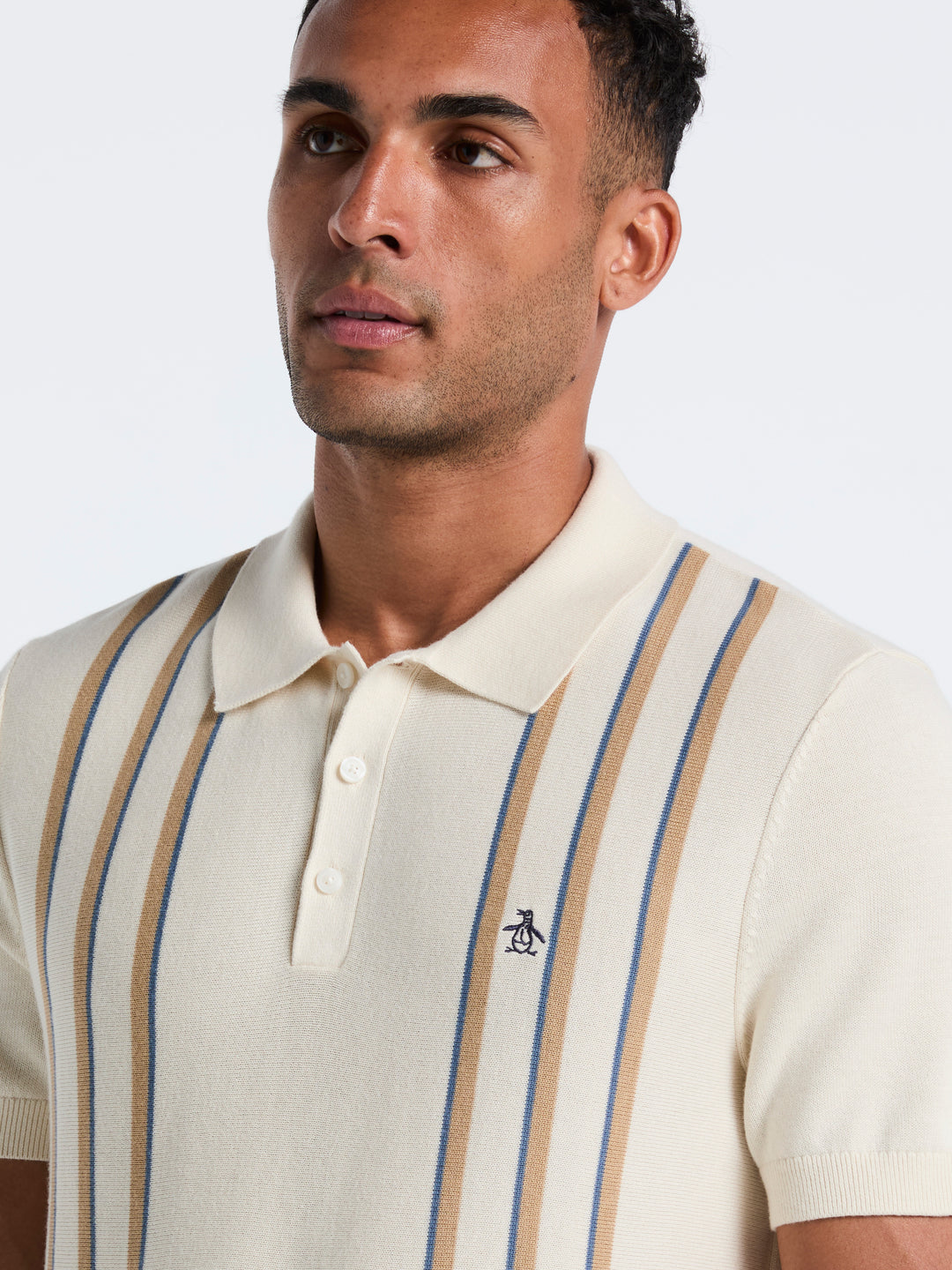 Cotton Vertical Stripe Sweater Polo (Birch) 